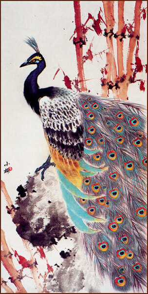 Peacock, bamboo and rock, Chinese Painting by Ngan Siu-Mui