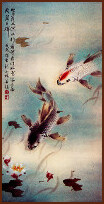 Koi and water lily, Chinese Painting by Ngan Siu-Mui