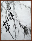 Willows and Calligraphy, Chinese Contemporary Calligraphy by Ngan Siu-Mui
