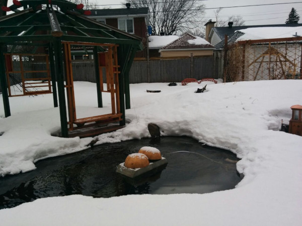 Belle construction de l'étang de jardin de Ngan Siu Mui par Jean-Yves Pelletier, 2011