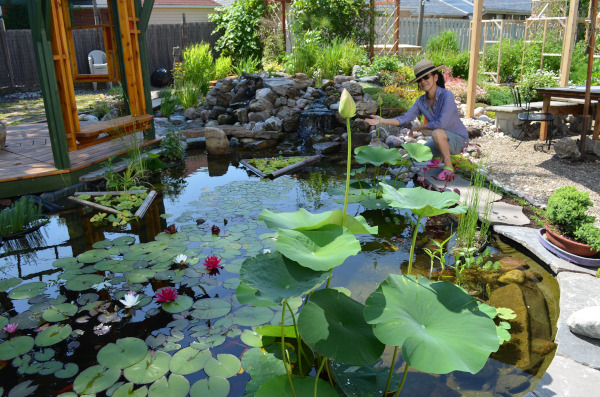 Belle construction de l'étang de jardin de Ngan Siu Mui par Jean-Yves Pelletier, 2011