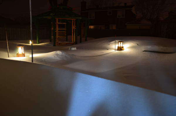 Belle construction de l'étang de jardin de Ngan Siu Mui par Jean-Yves Pelletier, 2011