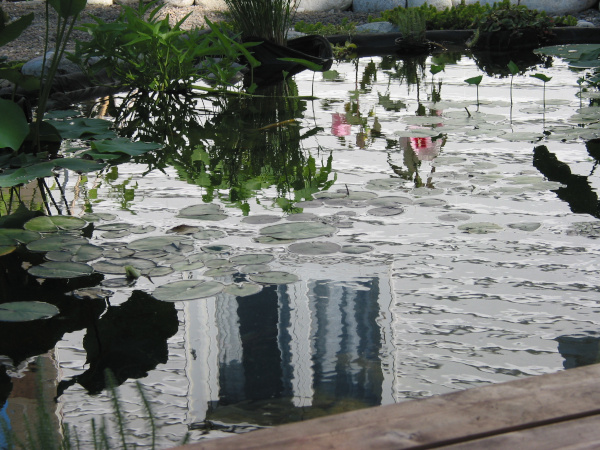 Belle construction de l'étang de jardin de Ngan Siu Mui par Jean-Yves Pelletier, 2011