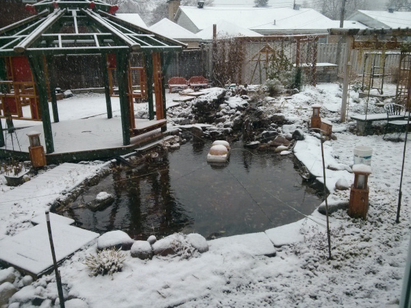 Belle construction de l'étang de jardin de Ngan Siu Mui par Jean-Yves Pelletier, 2011