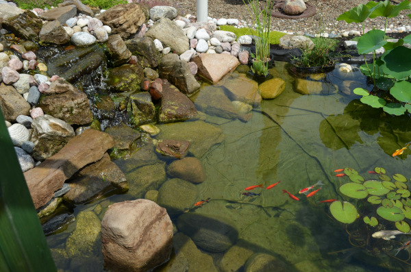 Belle construction de l'étang de jardin de Ngan Siu Mui par Jean-Yves Pelletier, 2011
