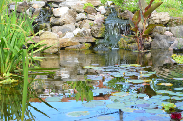 Belle construction de l'étang de jardin de Ngan Siu Mui par Jean-Yves Pelletier, 2011